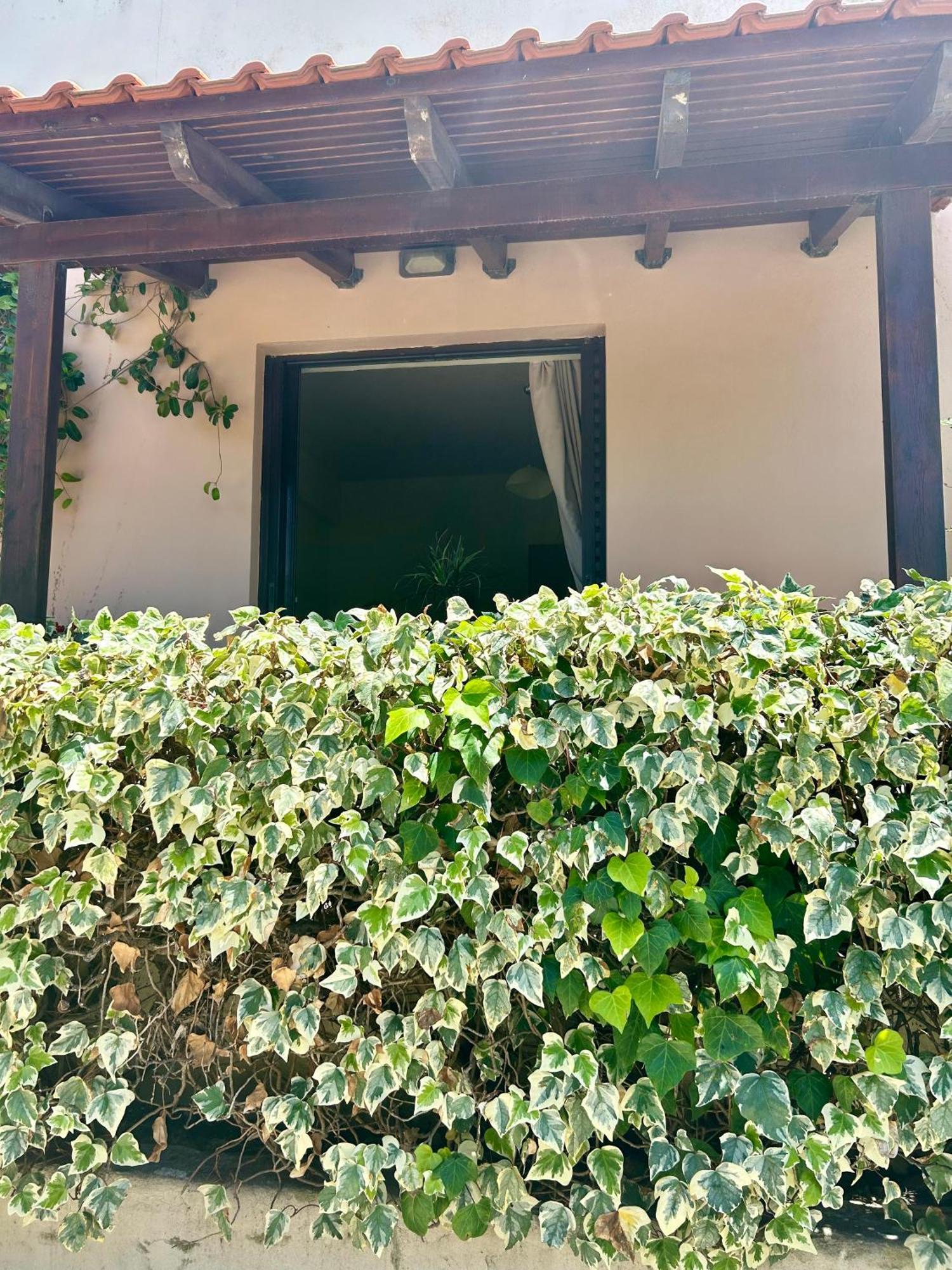 Esperia Apartments Πλατανές Εξωτερικό φωτογραφία