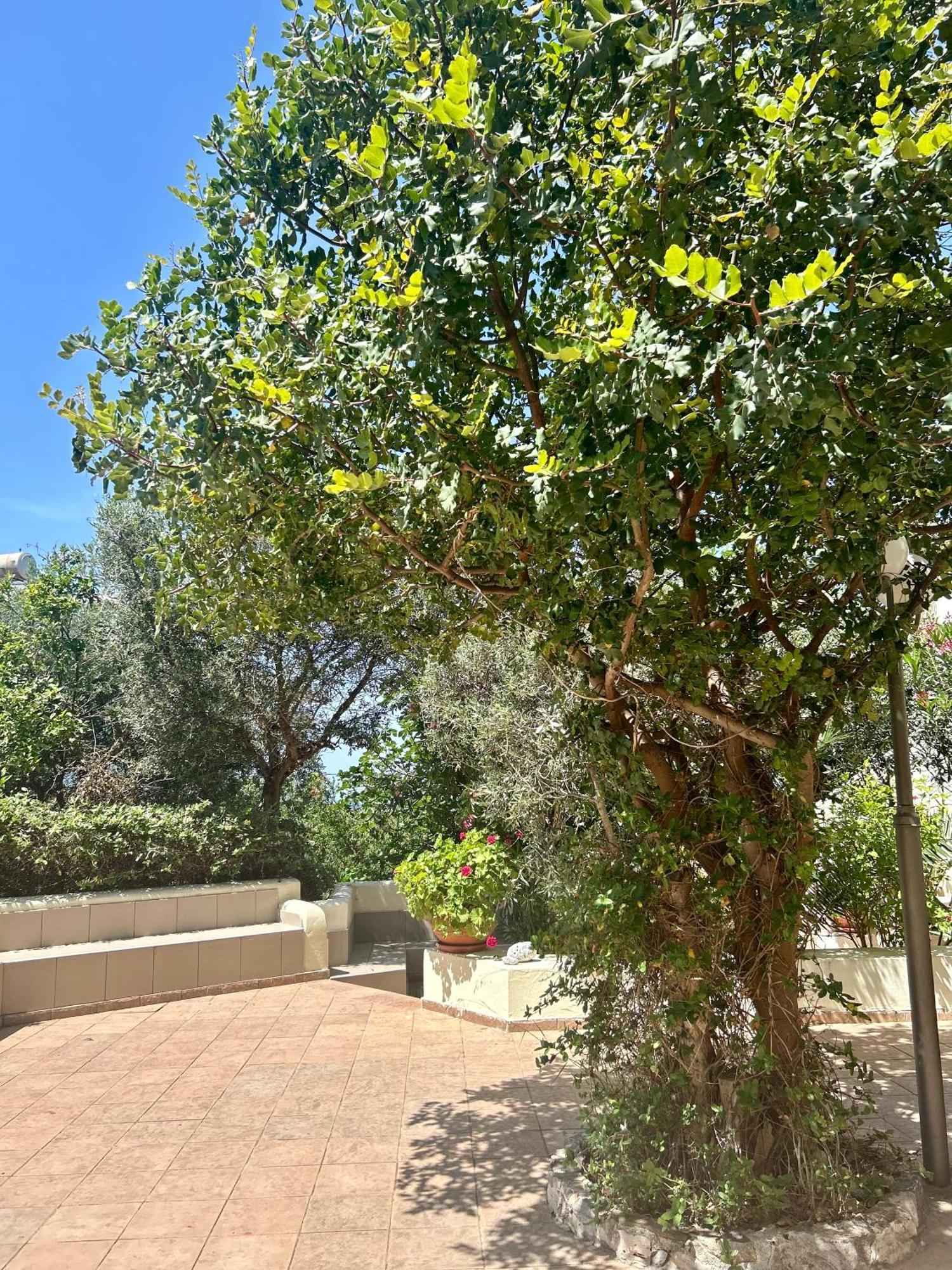 Esperia Apartments Πλατανές Δωμάτιο φωτογραφία
